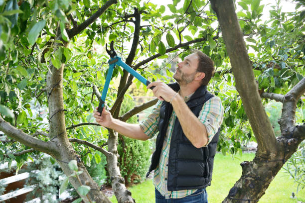 Best Arborist Consultation Services  in Wharton, TX